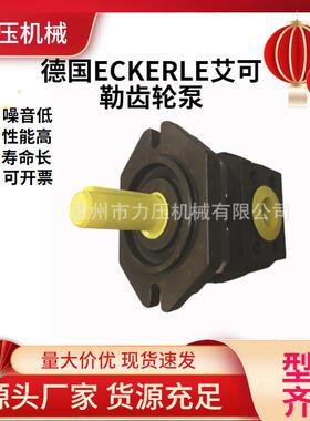 ECKERLE艾可勒双联齿轮泵EIPS2-025RK04-12 注塑机伺服系统专用