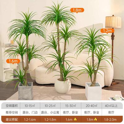 仿真绿植龙血树室内客厅轻奢高端摆设高级仿生落地盆栽绿植摆件树