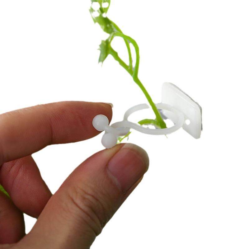 绿箩爬上神器绿萝爬墙固定无痕免打孔卡扣环定型枝叶蔓藤壁挂钩夹,收纳整理,双面贴物器,淘宝优惠券,粉丝福利购,淘宝优惠卷