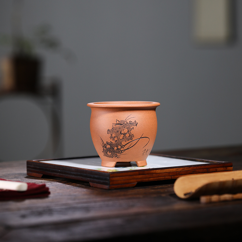 清香阁紫砂 唯珍手工虫趣微型花盆 桌面菖蒲多肉花器茶台掌中古典