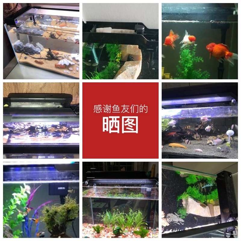 金利佳鱼缸过滤器潜水泵净水循环三合一顶部过滤盒上置过滤