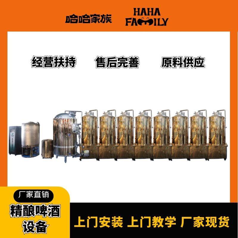 小型啤酒制作设备加工酿造机器发酵自酿精酿扎啤机