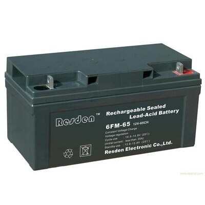 原装雷斯顿蓄电池6FM-65 12V65AH  应急灯消防报警器用蓄电池 原