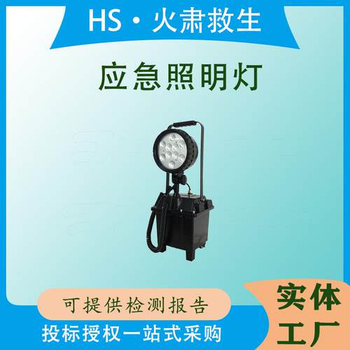 防汛氙气LED应急照明灯户外抢险移动防爆强光30W工作灯FW6100GF