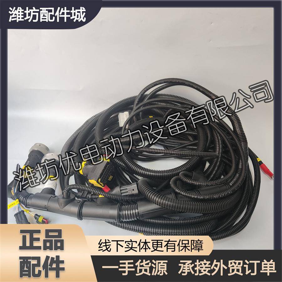 潍柴博杜安发动机6M33发电机组船用柴油机国三1010797660整车线束