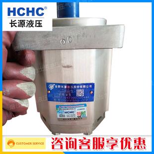 CBQ G540合肥长源HCHC油泵齿轮泵规格齐全一件也