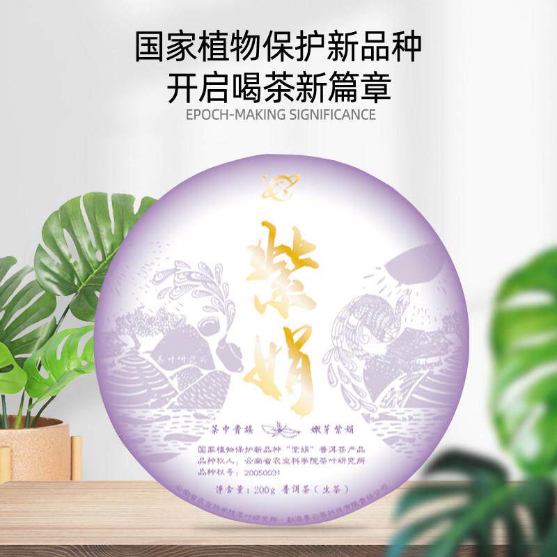 顺丰包邮云南勐海云茶科技茶厂茶饼2025母本紫娟普洱茶生茶饼200g