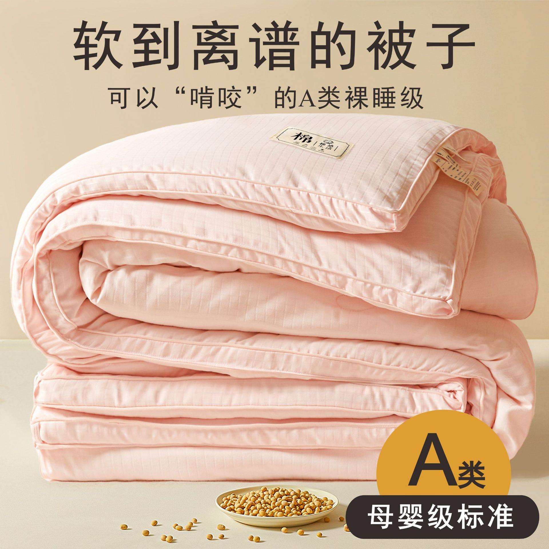 A类母婴级原棉提花大豆纤维被子被芯加厚保暖春秋被冬被四季通用