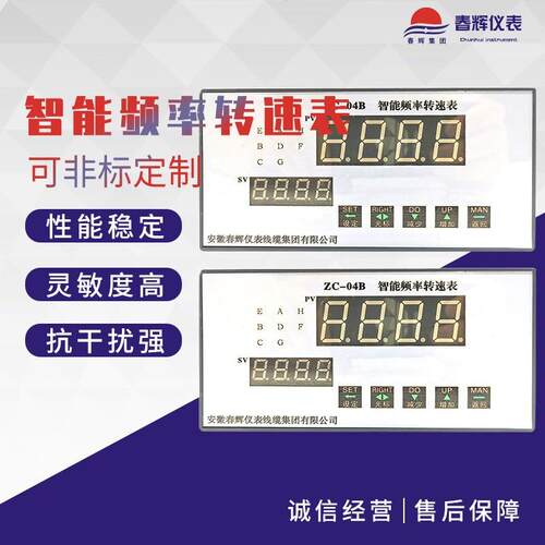 SFSD-5P 速度测量仪表