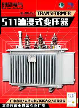 S11/S13-250-630kva油浸式变压器铜铝高压三相电力变压器10-35kv