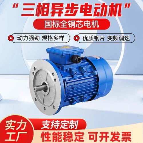 YE2/YE3三相异步电机380V0.55/0.75/1.1/2.2/3/4/5.5/7.5/11/15W