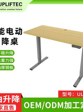 工厂现货直发 单电机可调节电动升降桌 家用办公智能学习升降桌
