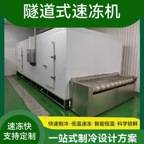 东莞隧道式速冻机包子水饺汤圆食品速冻低温冷藏保鲜速冻设备