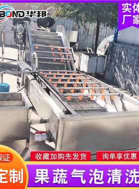 辣黄气泡清洗机清 全自动蔬菜洗机357 不锈钢瓜榨椒菜加工生产线