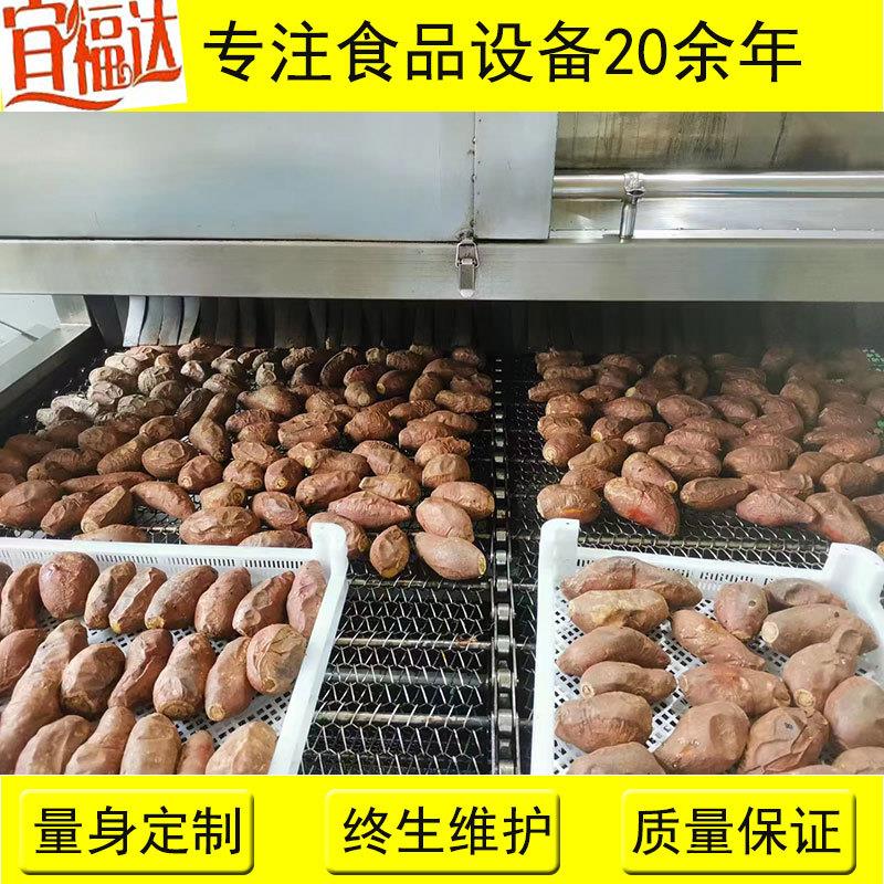 红薯大小称重分选机电加热连续地瓜烘烤机蜜薯干烘干成套设备