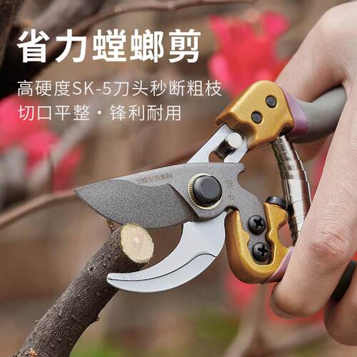 德国进口工艺修枝剪SK5园艺剪刀剪树枝专用剪刀剪果树修花枝剪子