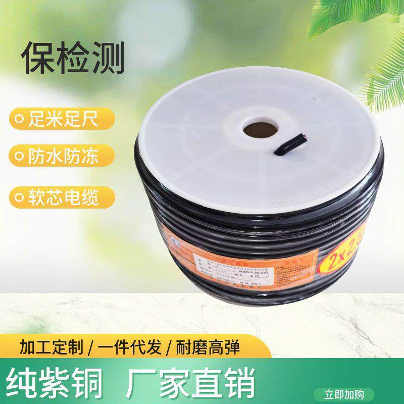 国标两芯防水电缆纯铜电线2×2.5平方黑色电缆保检测延长线防冻线