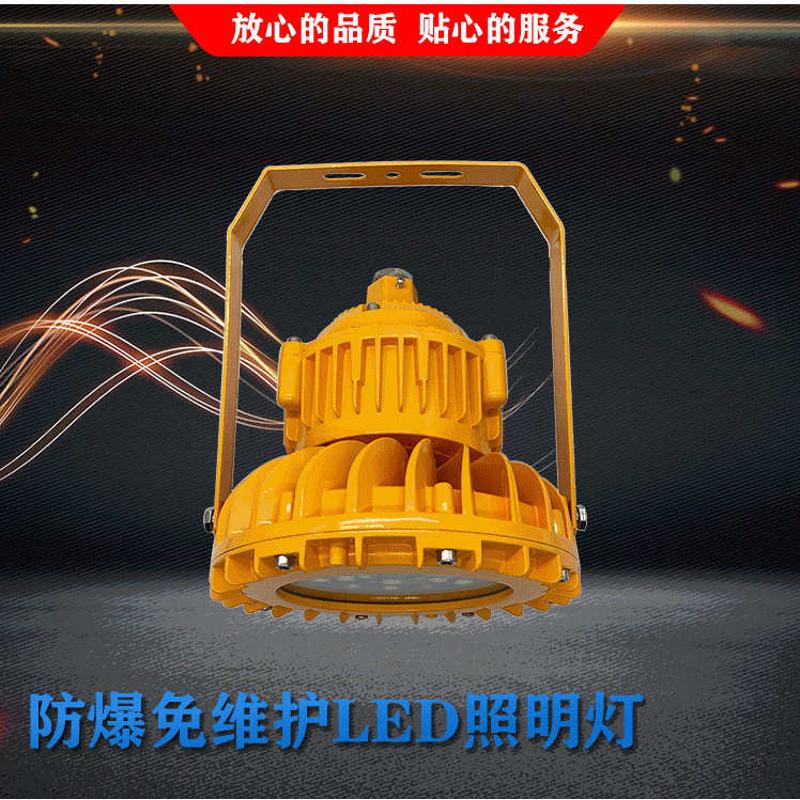 LED防爆灯BAD93-40W防爆免维护LED灯20W30W40W50W60W80W100W