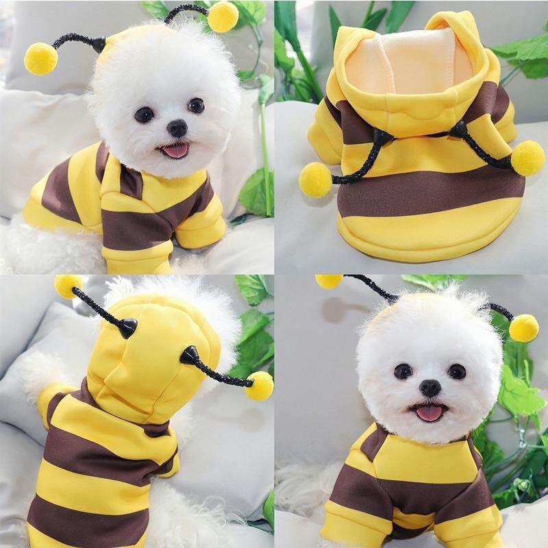宠物衣服狗狗猫咪秋冬保暖装雪纳瑞泰迪小型犬宠物衣服蜜蜂变身装