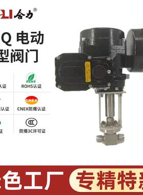 HEQ电动调节型针型阀门