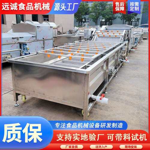 柑桔清洗机设备全自动果蔬清洗机设备西葫芦清洗机支持定制