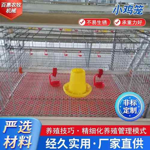 源头厂家育雏鸡笼防锈镀锌养殖设备立式小鸡笼鸡舍养鸡笼