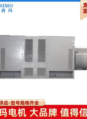 工作制S1户外防腐WF1泰富西玛八级YR800-82800KW6KV性能可靠