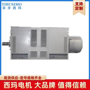 12630KW10KVIP54IMB3 H级绝缘等级泰富西玛十二级YRKS6303