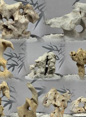 天然太湖石奇石盆景附石精品鱼缸造景石头观赏原石摆件