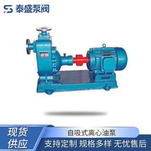 泊头泰盛供应自吸式离心油泵海水自吸泵稀油泵电动油泵现货