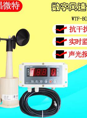 数字风速仪宜昌微特WTF-B(100)型数字风速仪起重机安全保护装置