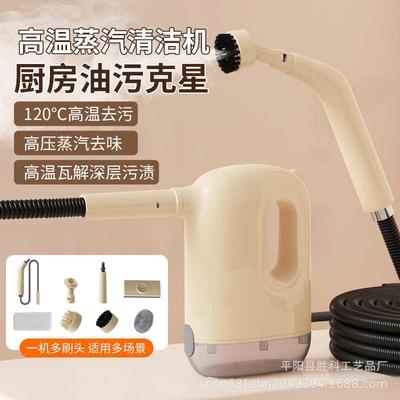 德国高温高压蒸汽清洁机家用小型厨房空调家电油烟机清洗机消毒机