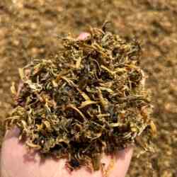 正宗东阳雪里红梅干菜浙江特产农家霉干菜新货咸菜干货无沙无添加