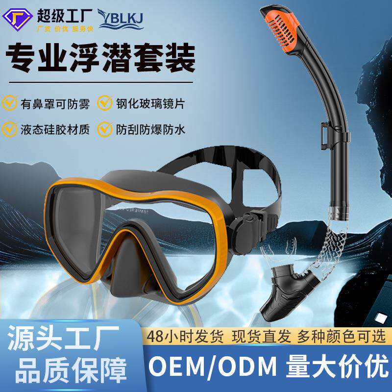 潜水镜成人硅胶防雾浮潜面罩跨境亚马逊大框潜水面罩全干式呼吸管