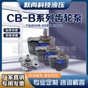 B25 63油泵配件大全 B40 B32 B20 B16 B10 液压齿轮泵CB