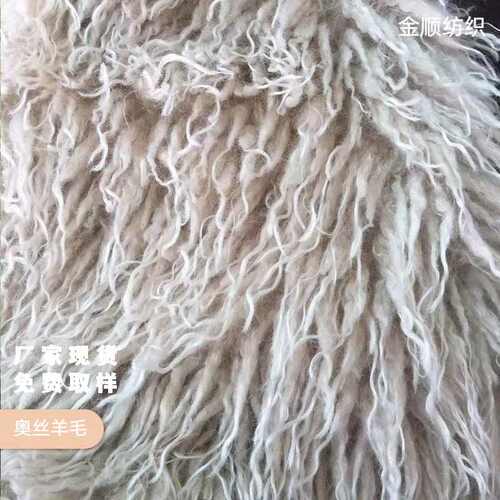 长毛绒滩羊2023毛丝新款奥羊毛