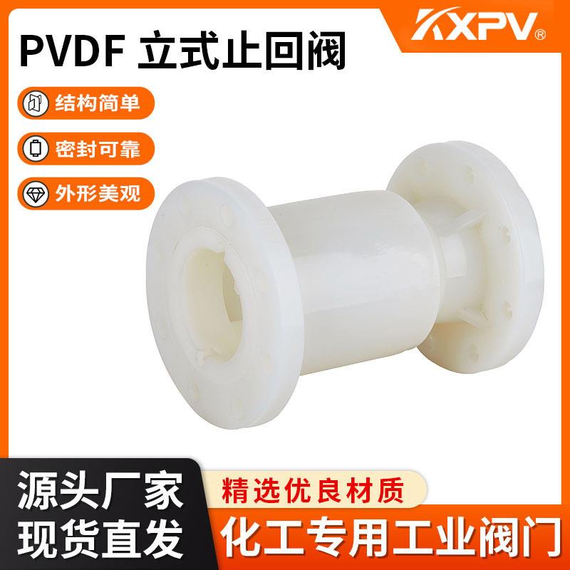 凯鑫KXPV厂家现货PVDF立式止回阀 塑料化工阀门 工业用PVDF止回阀