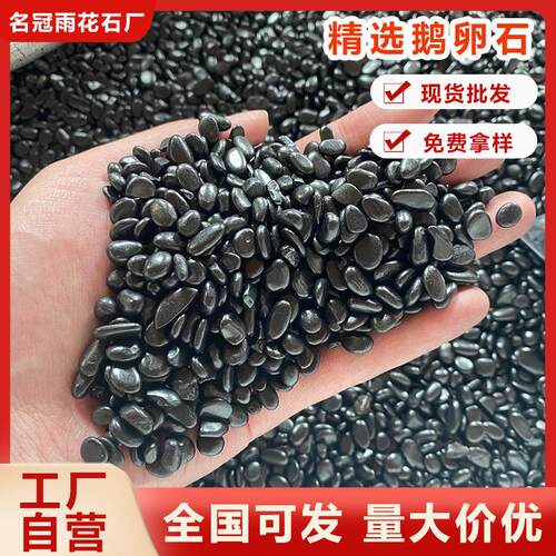 天然黑色石雨花石鹅卵石园艺铺地装饰园林河卵石盆栽鱼缸小黑石子