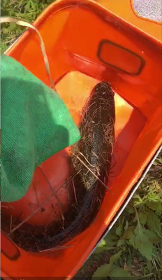 哈斯达是杂牌吗?钓鱼人评测解析哈斯达路亚竿究竟怎么样