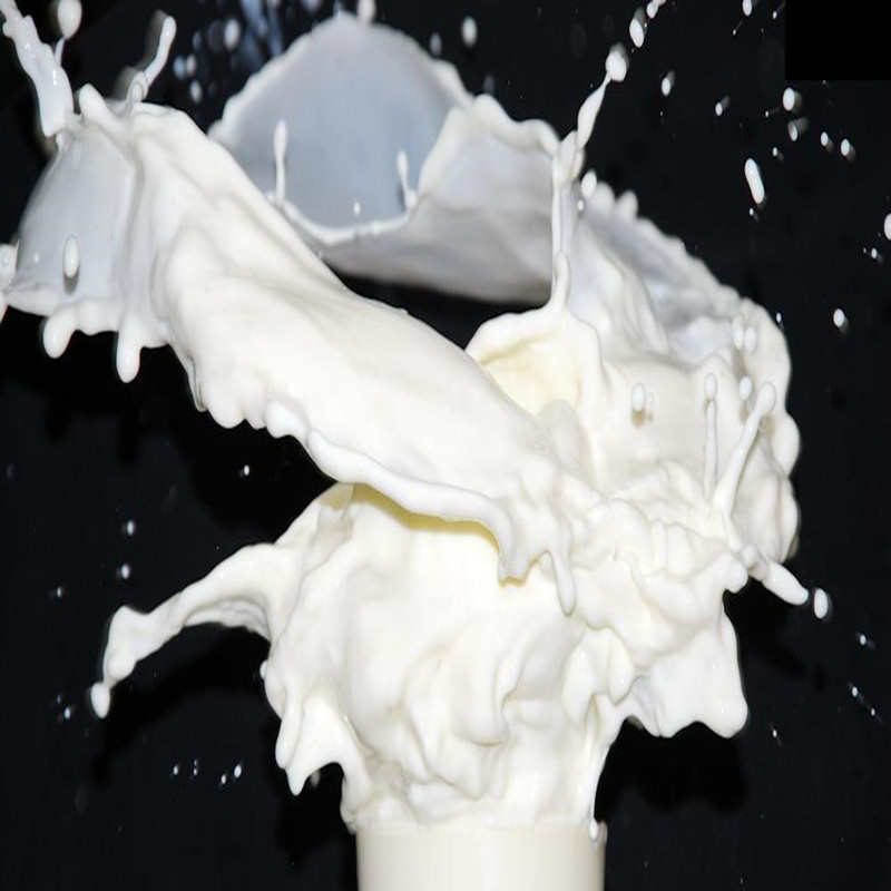 聚醋酸乙烯脂乳液水泥胶浆 弹性 醋酸乙烯脂共聚乳液防水防腐胶浆