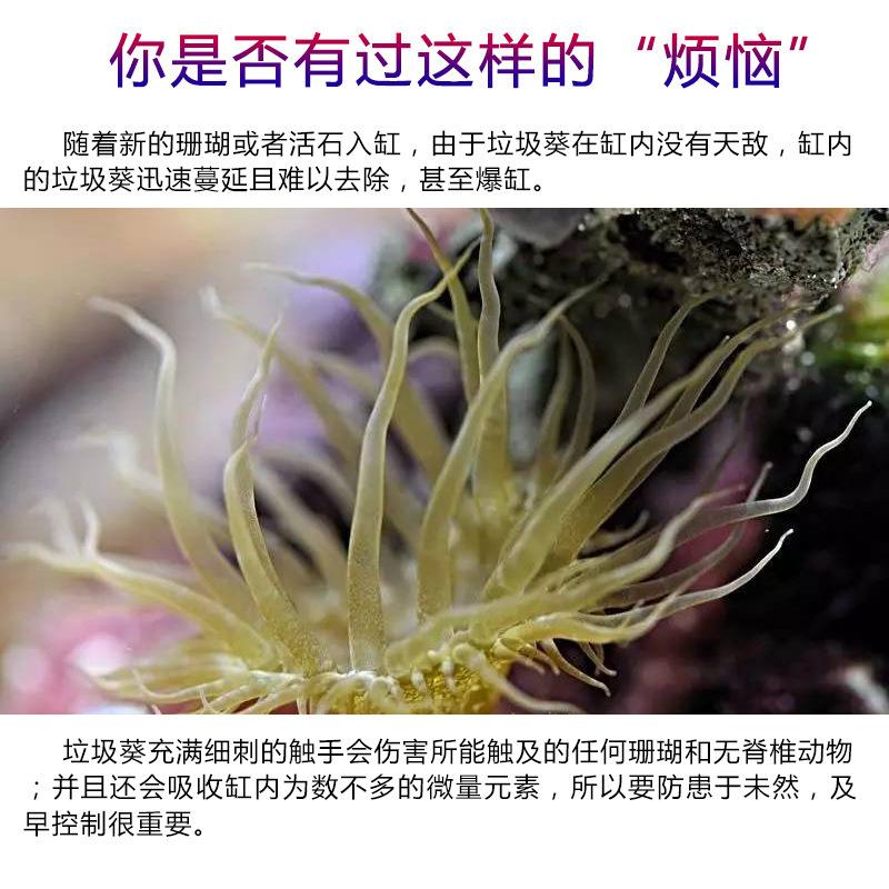 德国TM 除垃圾葵水 配针筒 对水质 生物安全 无害 50ml 新款