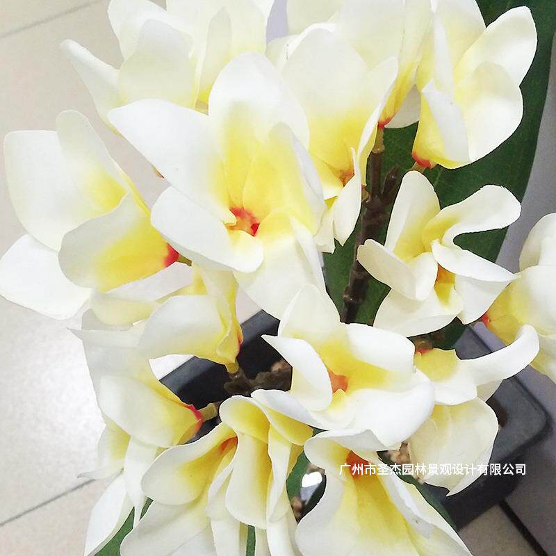 广州仿真鸡蛋花树室内外装饰真木杆仿真手感鸡蛋花假花树厂家直销