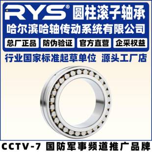 RYS NNU 哈轴传动 4930 4926 4928 圆柱滚子 W33
