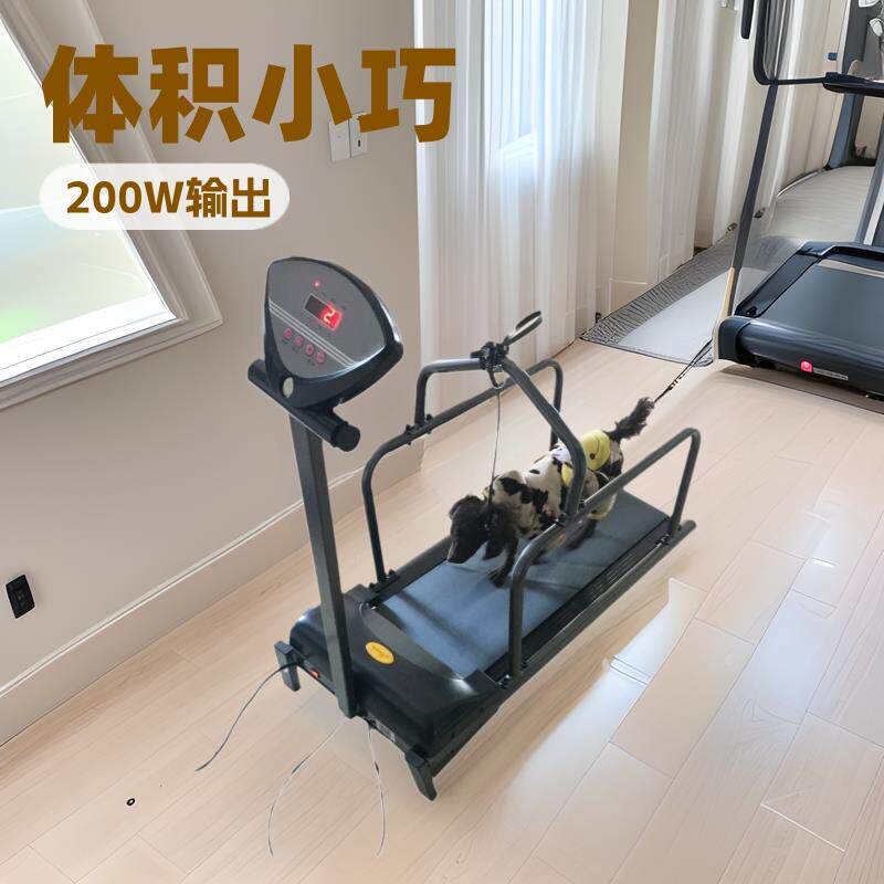 宇晟宠物跑步机小型家用犬用跑步机动物跑步机宠物狗用品C100