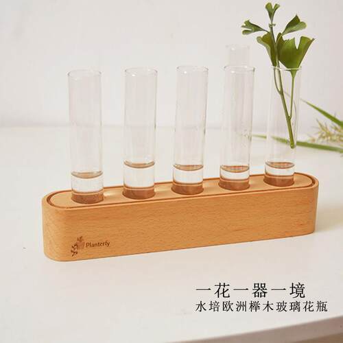 实木水培器花瓶试管创意桌面木架摆件装饰养植物插花玻璃花卉容器