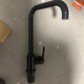 七盆黑色龙头菜大不锈钢