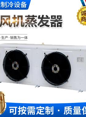 冷库冻库设备机组制冷保鲜车间降温冷库冷风机DD60/DL80/DJ40