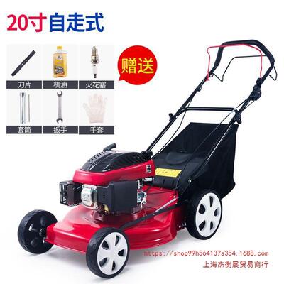 上海隆力达割草机GXV160汽油草坪机手推自走式剪草机大功率打草家