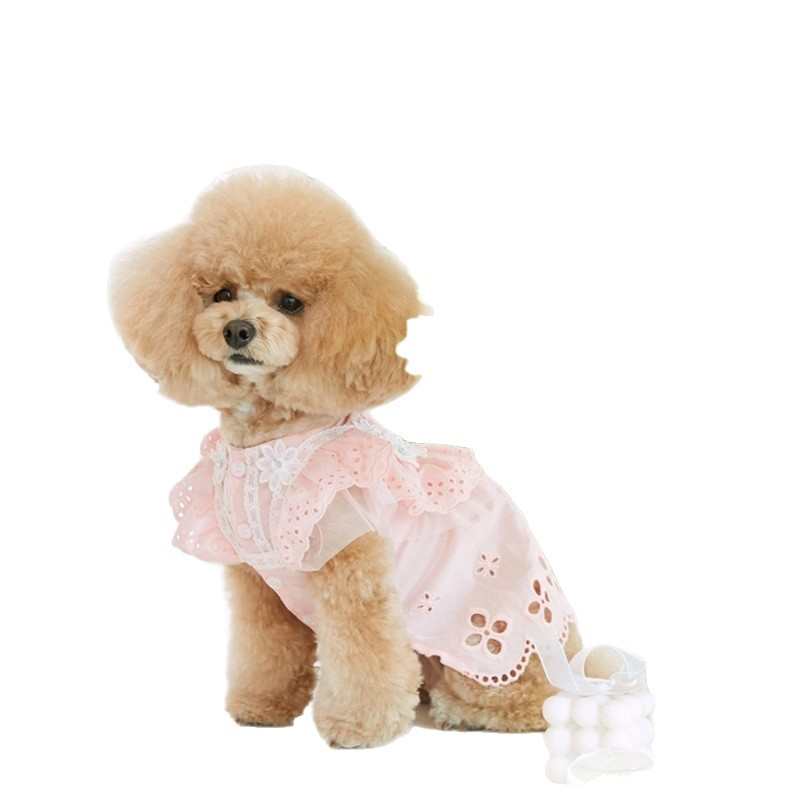 2025宠物夏款蕾丝飞袖公主裙泰迪比熊狗狗猫咪薄款衣服+头饰