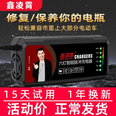 适用倍尔捷电动车电瓶充电器48v12ah60v20/30ah72v三轮车96V通用